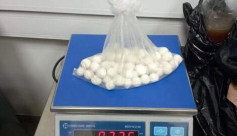 В пермском аэропорту пресекли ввоз домашнего сыра из Узбекистана