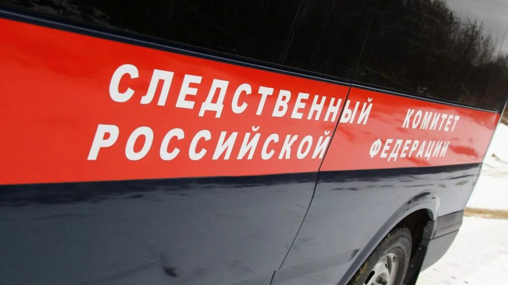 Уголовное дело возбуждено после нападения собак на пенсионерку в Красновишерске