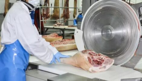 Кунгурский мясокомбинат гарантирует качество продукции: устранены нарушения ветеринарных норм