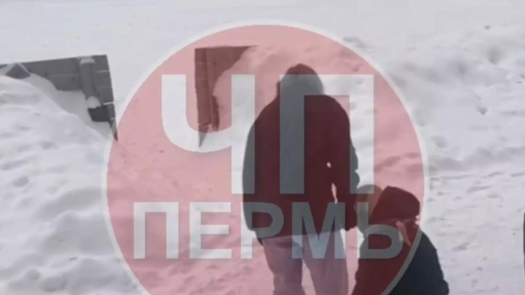 Жестокое избиение школьницы в Пермском крае попало на видео: делом занялся Следственный комитет