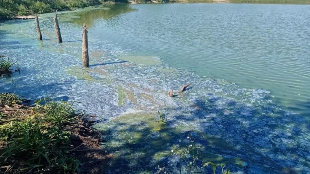 Водный коллапс в Осташатах: жители деревни под Кунгуром девять дней живут без капли воды