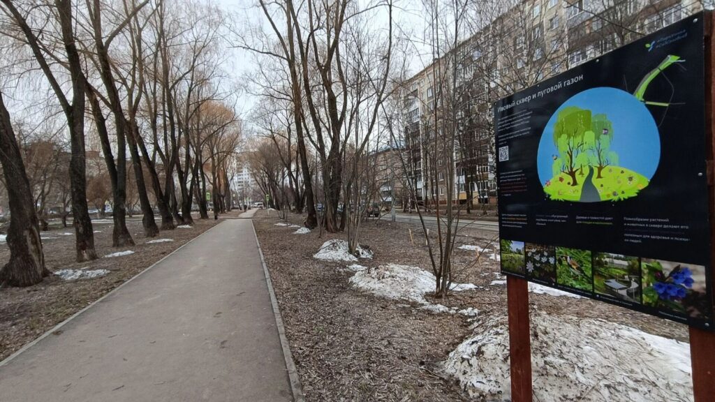 Почему экологи Перми призывают оставить листья на месте: секреты правильной уборки города