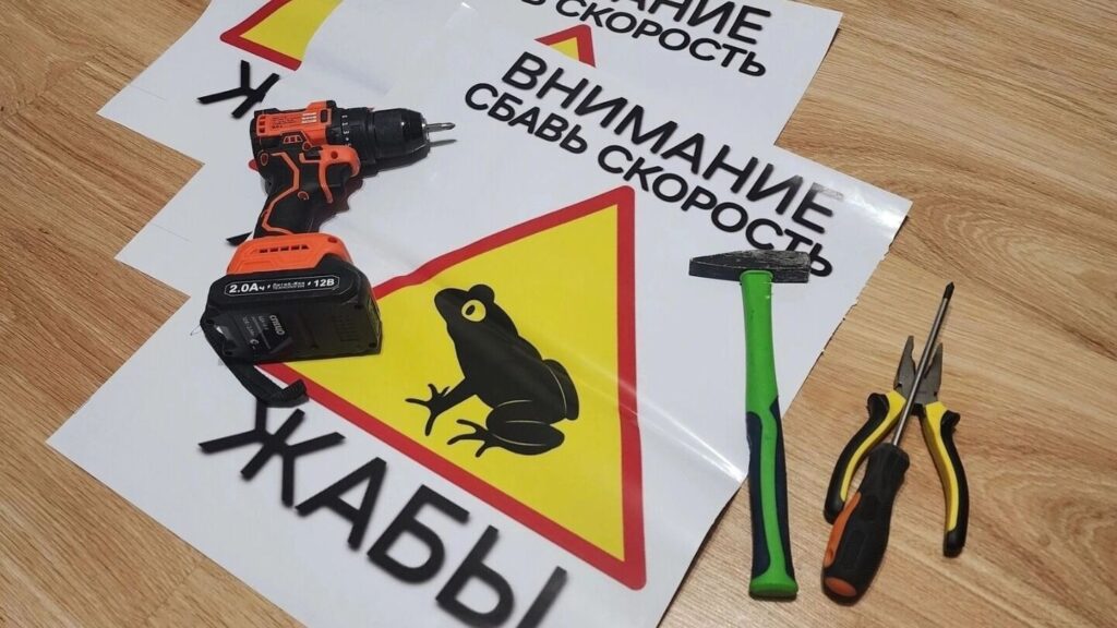 Пермские жабы в опасности: горожан зовут на помощь в спасательной операции