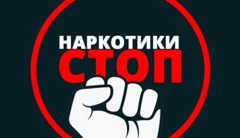 Подпольный ботаник из Перми: как житель превратил свой подвал в конопляные джунгли