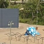 В Перми обеспокоены вырубкой в сквере Каменских: что ответили власти?