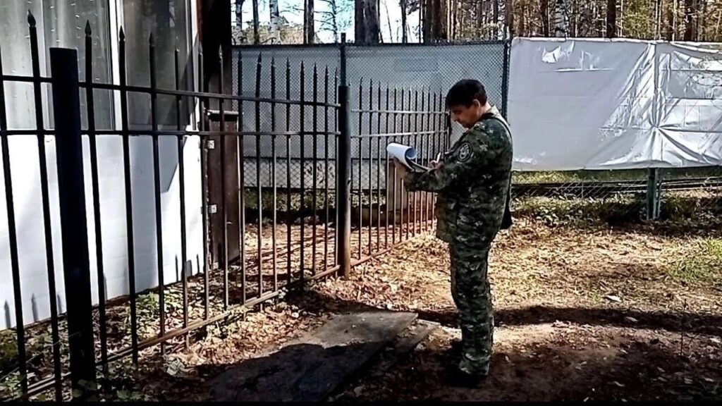 Загадочная гибель в пермском парке: женщина с высоким содержанием алкоголя найдена на заборе