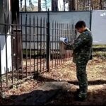 Загадочная гибель в пермском парке: женщина с высоким содержанием алкоголя найдена на заборе