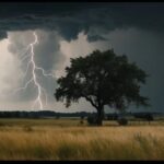 Прогноз погоды в Пермском крае на четверг: где пройдут дожди и грозы