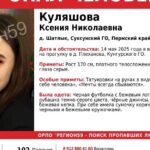 В Пермском крае ищут двоих пропавших: девушка ушла на прогулку и не вернулась, пенсионер покинул дом