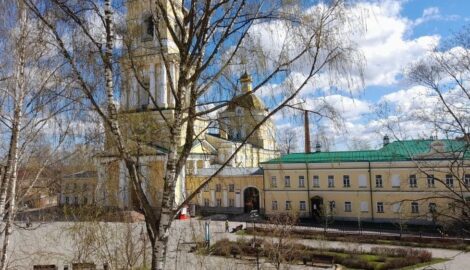 Сезон аллергии в Перми: пик пыльцы березы и ольхи – как защититься и пережить сложные дни?