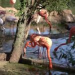 Экзотика в Перми: Какие удивительные животные пополнят коллекцию зоопарка в 2025 году?