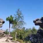 Природные Чудеса Пермского Края: Каменный Город и Усьвинские Столбы Приглашают в Уникальное Путешествие