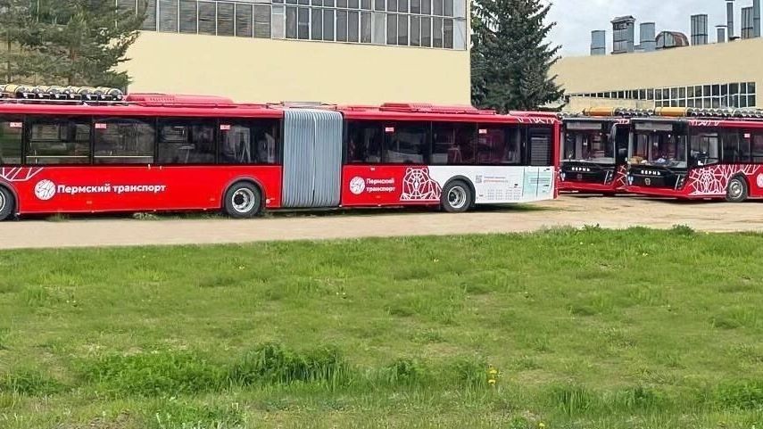 Продление работы транспорта в Перми: Расписание автобусов, трамваев и электрички на День города