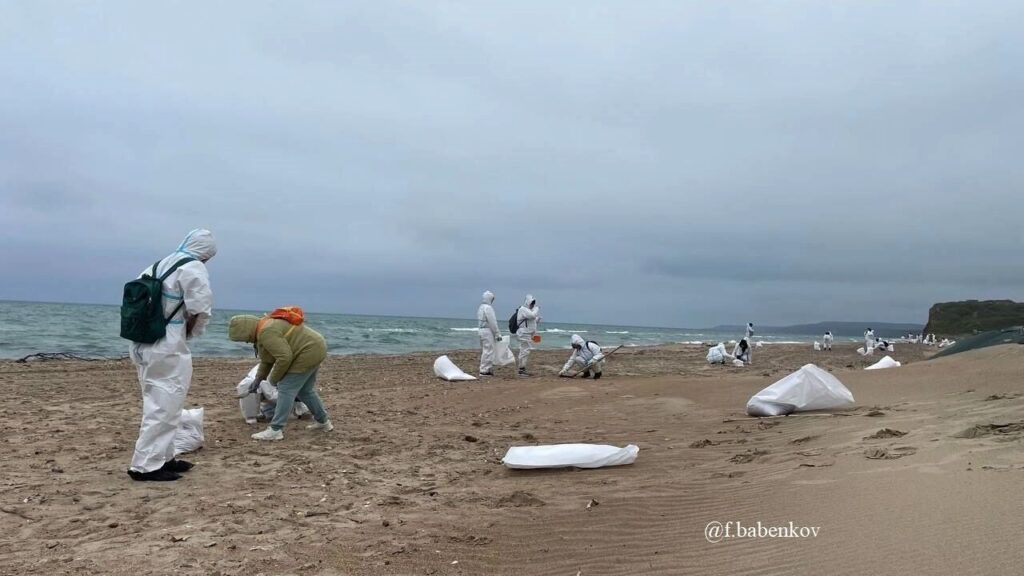 Миллиардные иски за экологический ущерб: Курорты Кубани борются с последствиями разлива мазута