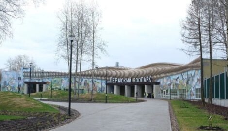 Масштабный Проект: Завершено Полное Электроснабжение Нового Пермского Зоопарка в Перми