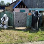 Мистические инсталляции на улицах Кемерова: что известно о таинственных фигурах?